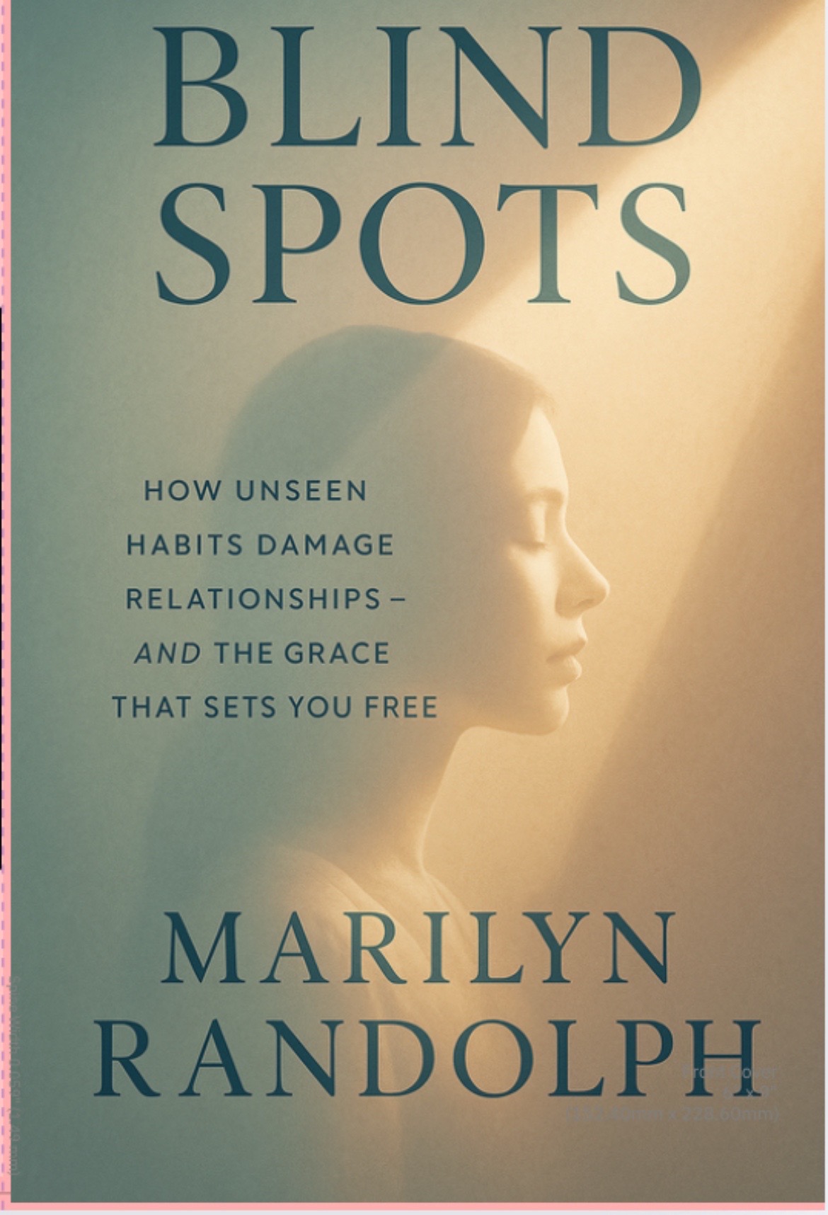 Cover of Blind Spots by Marilyn Randolph